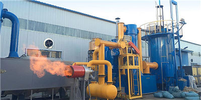 Biomass gasifier system